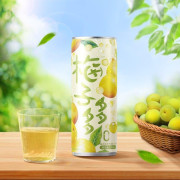 梅子多多汽水(300ml*20)