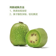 奇異莓 500g