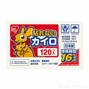 日本愛麗絲 發熱包120片 C